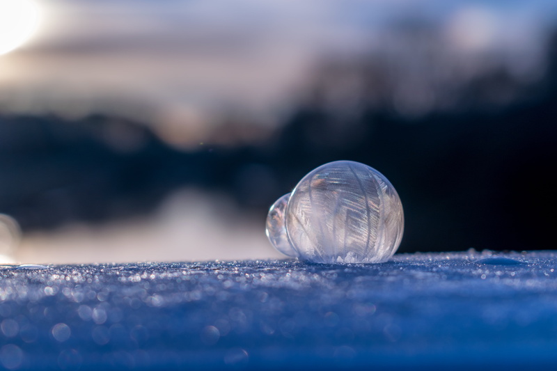 one animal, magic, surface level, animal themes, close-up, nature, eiskristalle, animal wildlife, landscape, hardest, animal, floating on water, icy, frozen bubble