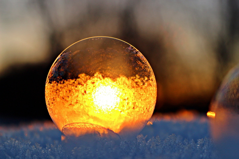 glass, afterglow, eiskristalle, dark, frost, illuminated, no people, selective focus, close-up, winter, glowing, beauty in nature, burning, plant, abendstimmung