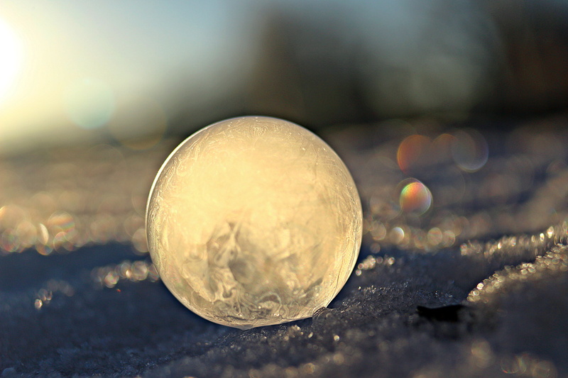 frozen, geometric shape, frost, outdoors, plant, day, soap bubble, ice-bag, focus on foreground, no people, cold temperature, illuminated, ball, environment