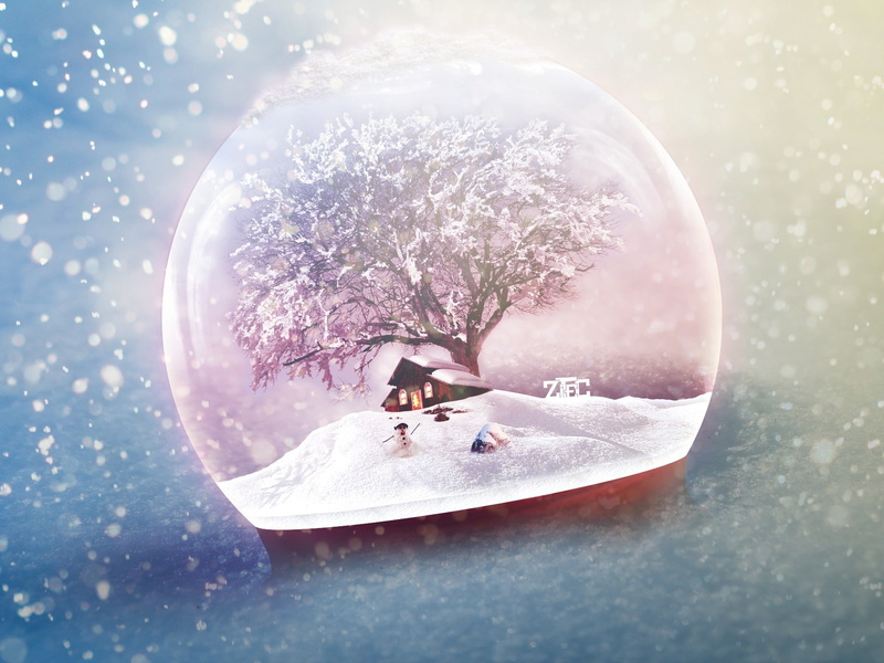 holiday, globe, holidays, white color, ice, frozen, snowing, water, hd, cold temperature, still life, tree, sweet food, december, frost, day
