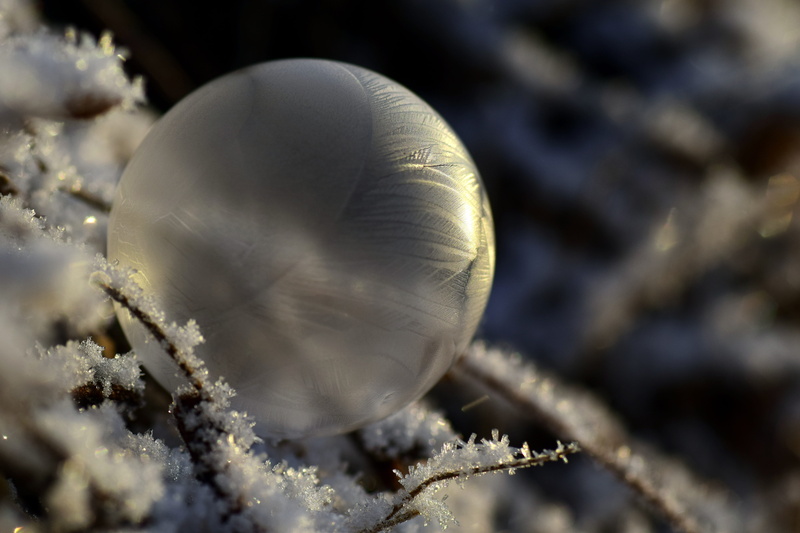 frost, frosted soap bubble, iridescent, winter, mollusk, invertebrate, sensitive, close-up, frozen bubble, tender, cold, snow, photography, about, christmas