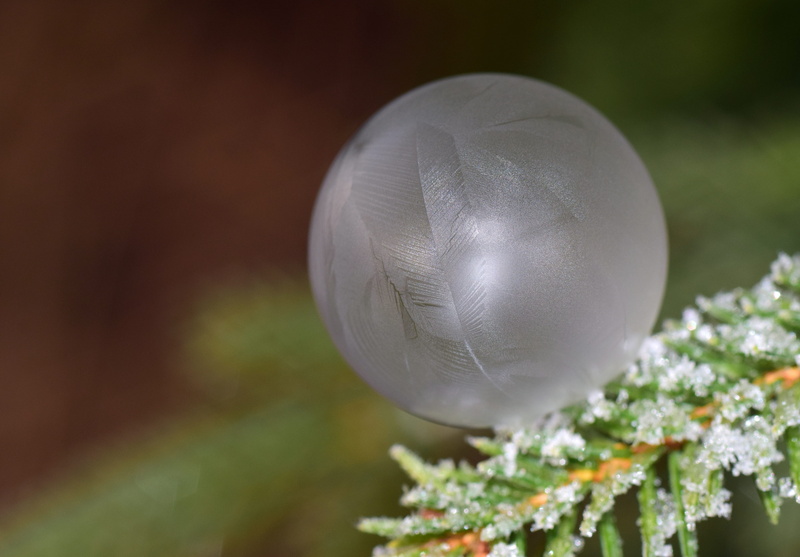 structure, leaf, tree, frosted, about, outdoors, christmas, bubble, globe image, celebration, focus on foreground, selective focus, frost, sphere, winter