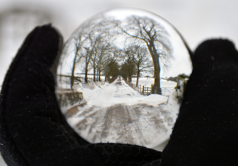 architecture, light, sky, geometric shape, explore, tree, bare tree, selective focus, season, plant, shape, outdoors, nature, frozen, 5K, circle, cold temperature