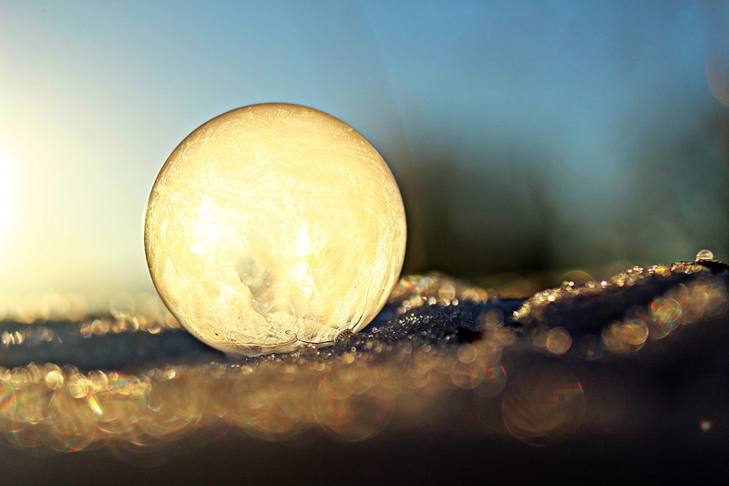 nature, frost, globe, close-up, winter, fruit, macro, day, outdoors, reflection, frost blister, frost globe, soap, food and drink, yellow, bubble, ice