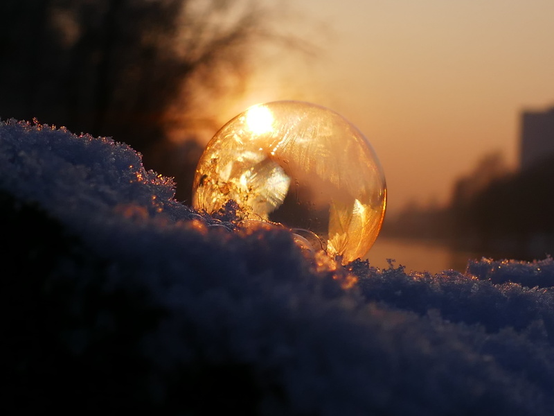 shape, bubble, wintry, sun, winter, no people, crystal ball, ice-bag, beauty in nature, selective focus, plant, ice, frozen, frost globe, sky, cold, soap bubble