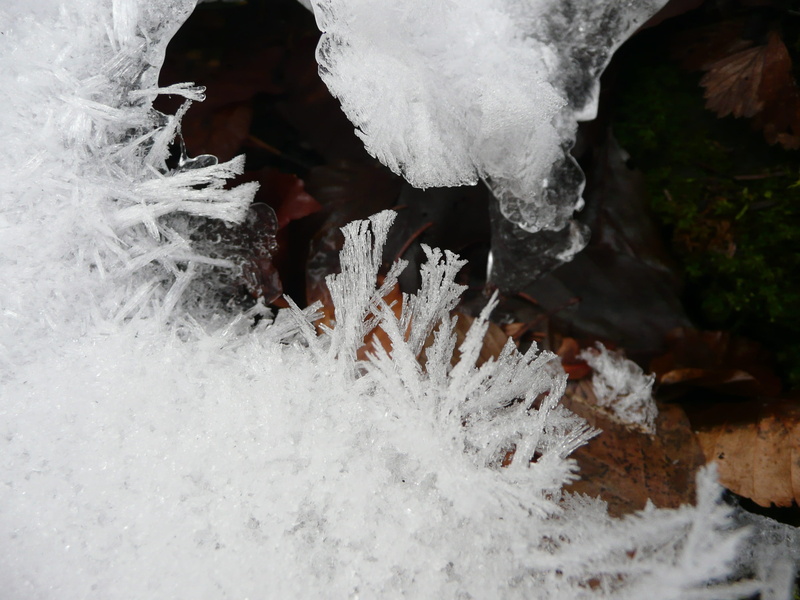 focus on foreground, Ice, Winter, nature, no people, macro, ice pattern, crystallization, water, Hardest, frosty, drip, Cold, 2K, cold temperature, crystals