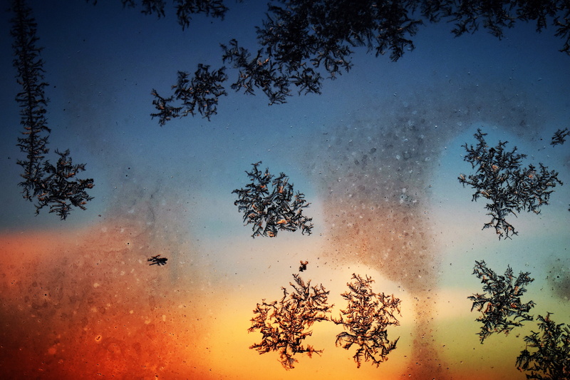 iced, scenics - nature, eiskristalle, ice, orange color, ice pattern, winter, no people, day, growth, tranquil scene, tree, silhouette, nature, crystallization
