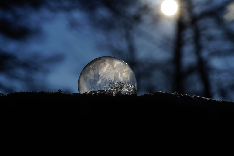 no people, illuminated, tranquil scene, winter, circle, tranquility, eiskristalle, bubble, cold, frost, astronomy, space and astronomy, plant, 8K, star - space