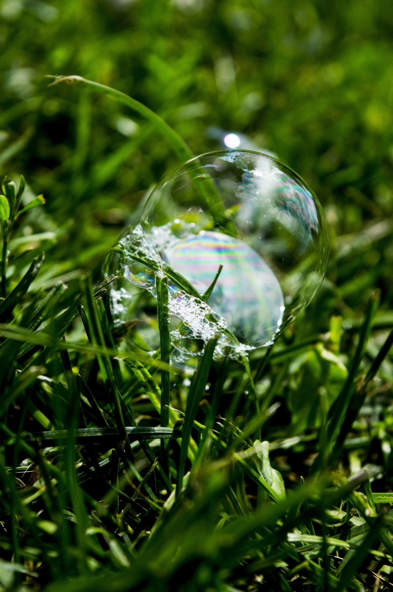 shiny, macro, outdoors, fragility, transparent, blade of grass, nature, no People, liquid, crystal ball, drop, selective focus, green Color, 5K, Sphere