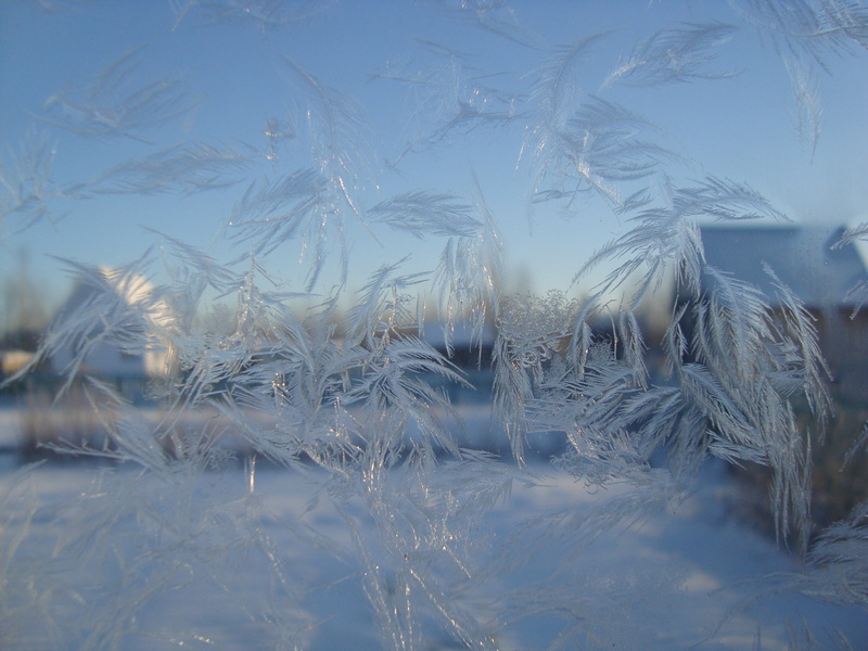 snow, glass, cold - Temperature, white, plant, ice Crystal, ice, 2K, tranquility, nature, winter, frozen, backgrounds, white color, season, abstract, pattern