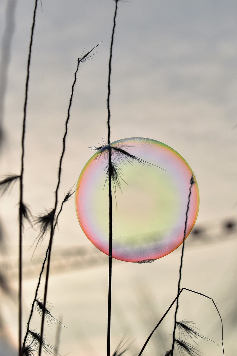 spherical shape, backlighting, spherical, sky, fragility, vulnerability, field, rainbow, soap bubble, sunrise, mood, grasses, environment, lightweight