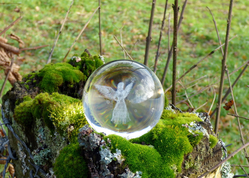 circle, no people, glass object, glass - material, focus on foreground, moss, crystal ball, angel, land, season, lasered, geometric shape, the end of the day