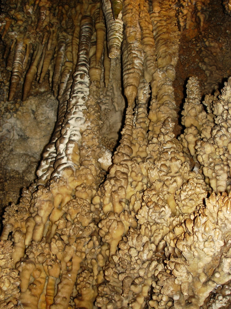 land, physical geography, geology, cave, full frame, day, water, 1080P, outdoors, stalagmite, close-up, nature, ledenika, limestone, brown, no people