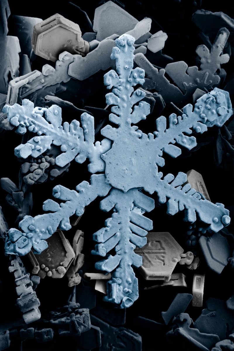 blue, white color, ice crystal, micrograph, symmetry, crystal form, day, nature, stack, snowflakes, symmetrical, crystals, winter, snow crystals, electron micrograph