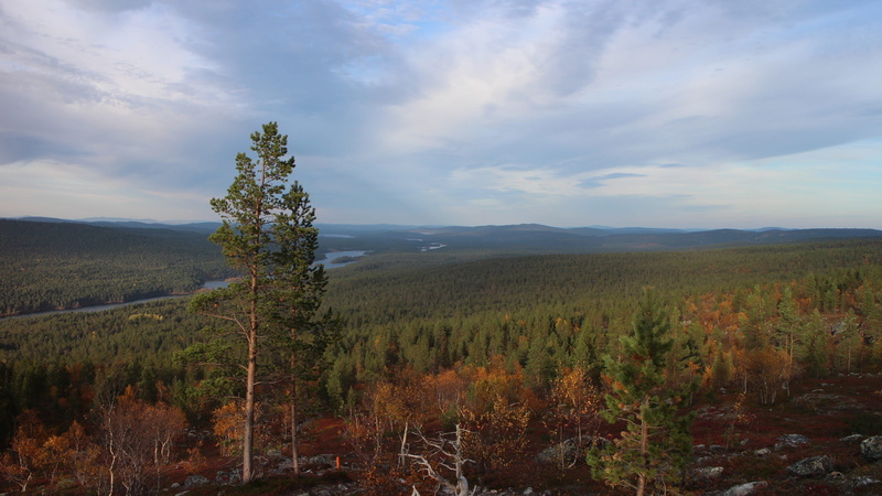 beauty in nature, tranquility, hiking, day, Landscape, finland, mountain, 2K, arctic circle, outdoors, field, tree, lapland, Fell, plant, growth, tranquil scene