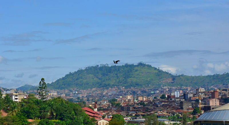built structure, mountain, plant, djeuga palace, sky, cameroun, animal themes, 5K, yaounde, building, flying, landscape, architecture, one animal, cloud - sky