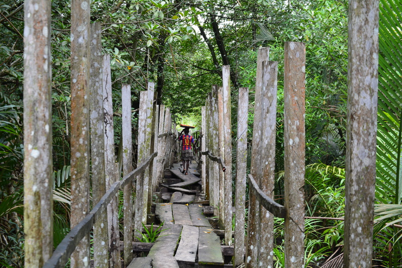 green color, full length, forest, 5K, tree trunk, trunk, cameroun, cameroon, men, bridge, one person, trees, growth, manoka, nature, commerce, outdoors