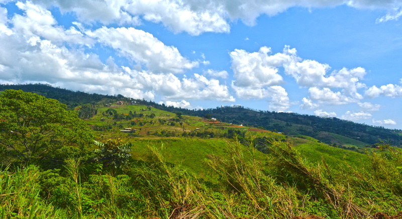 rolling landscape, mountains, bamileke, traveller, grass, non-urban scene, traveling, panorama, beauty in nature, trees, green color, idyllic, cameroon