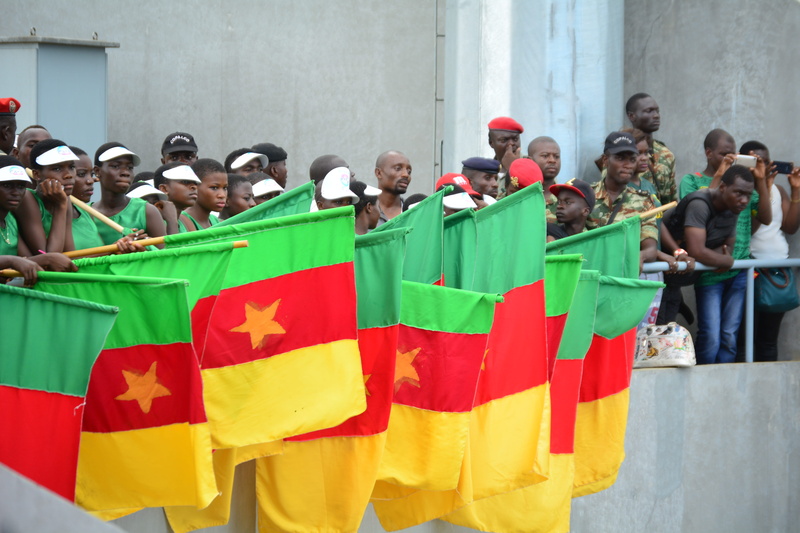 adult, arts culture and entertainment, people, costume, mid adult, cameroun, men, supporters, stadium, flags, real people, unity, group of people, celebration