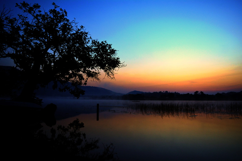 cameroon, reflection, tranquility, sunrise, growth, non-urban scene, silhouette, 5K, tree, tranquil scene, kmertour, water, sunset, outdoors, orange color