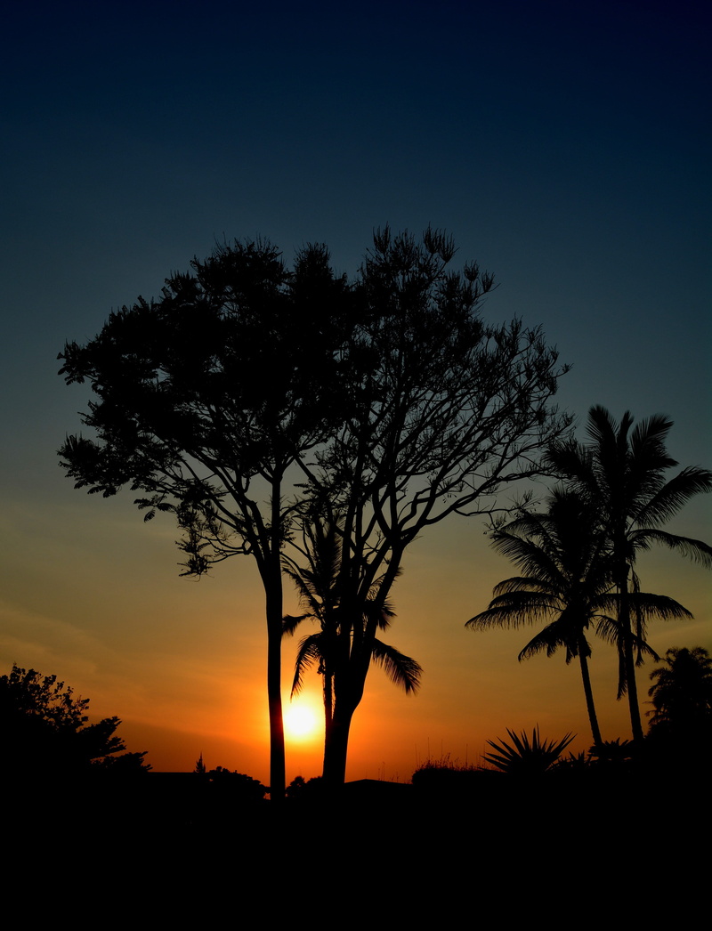 growth, tranquility, nikon, kmertour, land, nature, environment, beauty in nature, no people, tranquil scene, sunset, foumbot, tropical climate, sky, plant