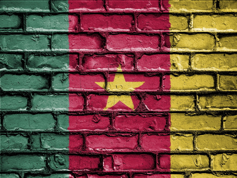 4K, built structure, nation, pattern, text, country, backgrounds, pink color, textured, bricks, full frame, day, wall - building feature, emblem, cameroon