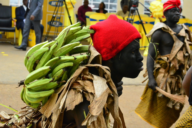 market, roots, healthy eating, food, nature, cameroon, dancer, clothing, people, close-up, kumba, retail, 5K, freshness, incidental people, day, food and drink