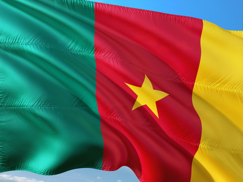 4K, leaf, red, environment, full frame, yellow, nature, waving, multi colored, international, patriotism, no people, brightly lit, textile, cameroon, wind