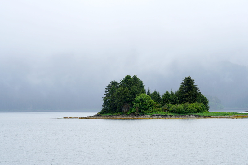 sky, nature, sea, no people, non-urban scene, blue, idyllic, water, tree, solitude, 4K, beauty in nature, outdoors, tranquility, growth, outdoor, waterfront