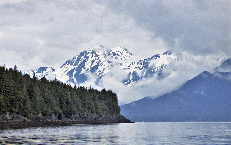 bay, scenics - nature, body, beauty in nature, sky, glacier, tranquil scene, sawyer glacier, plant, forest shore, snow, ocean, cloud, daytime, outdoors
