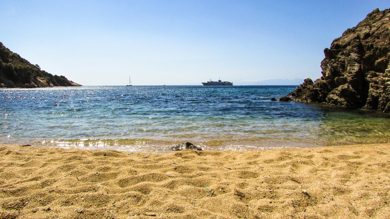 greek, horizon over water, brown, island, summer, dog, canine, day, scenic, greece, aegean, bay, water, no people, animal themes, animal, diamanti beach