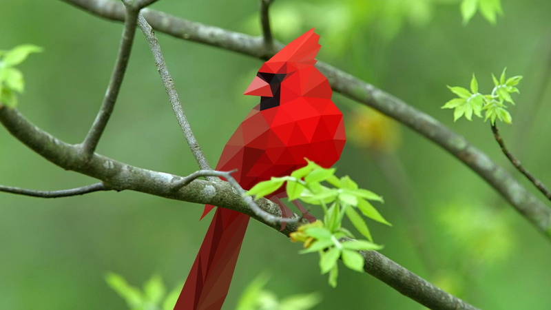 birds, geometry, 1080P, Cardinals, abstract