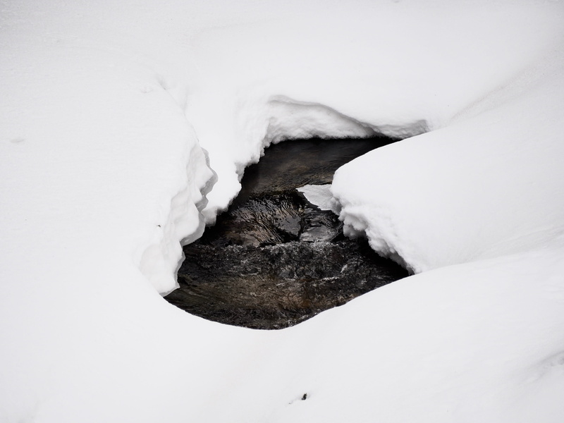 frozen, river, nature, untitled, outdoors, cold temperature, find, water, beauty in nature, ever wild, bitter cold, body part, will, land, snow, everwildme