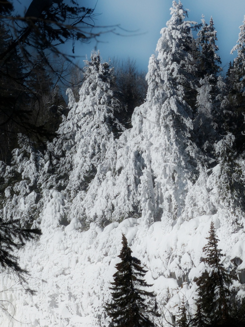 non-urban scene, cold temperature, pine tree, day, ice cold, british columbia, scenics - nature, 4K, beauty in nature, ice, tranquil scene, canyon, canada