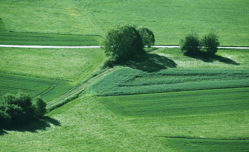 lines, plant, upper franconia, no people, green color, fields, arable, morning sun, meadow, environment, land, wiesenttal, agriculture, trees, tree, tranquility