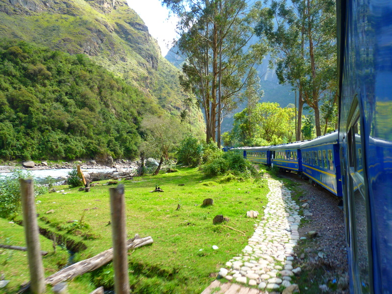 growth, green Color, tree, landscape, day, mode of transportation, rail transportation, railway, scenics - nature, no people, Train, bridge - Man Made Structure