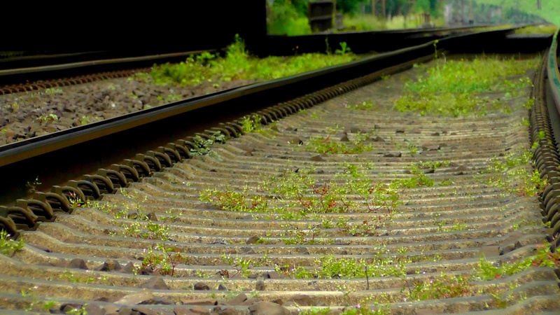 public transportation, trains, metal, outdoors, growth, travel, train, railroad tie, diminishing perspective, transportation, day, mode of transportation