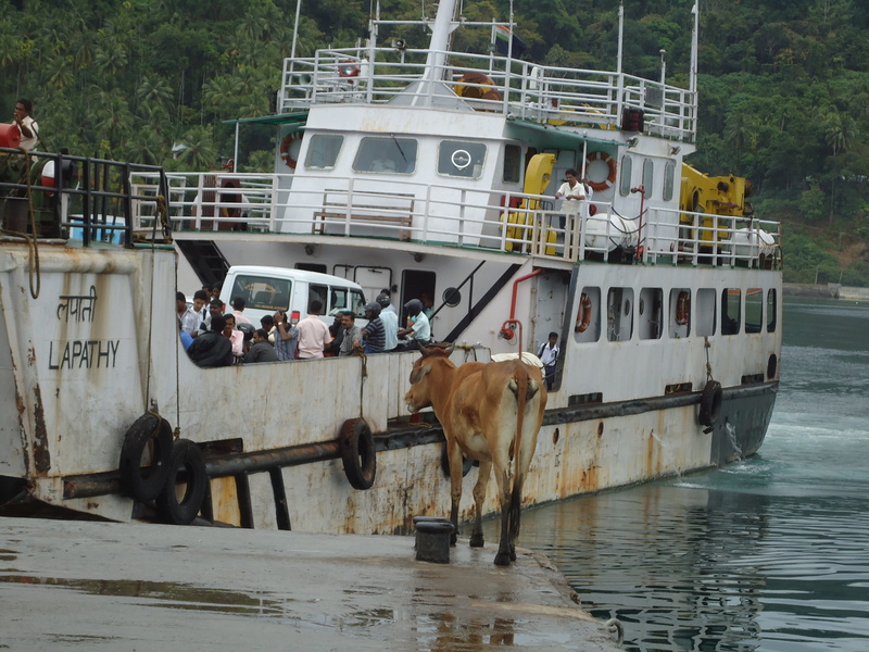men, 4K, ferry boat, mammal, real people, ferry, boat, passengers, day, nature, livestock, pets, vertebrate, public means of transport, transport, large group of people