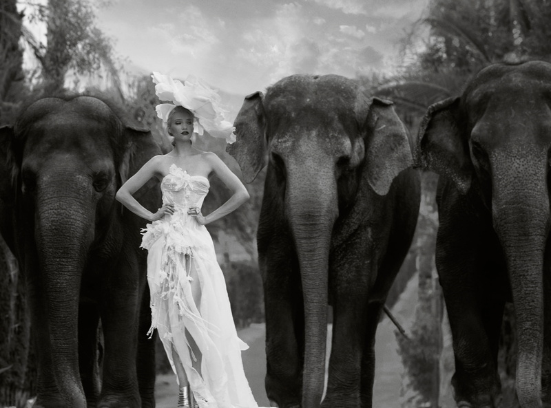 outdoors, People, Woman, elephant, fantastic, Wonderful, young adult, full length, blackandwhite, glamorous, tree, Wild, stunning, mammal, day, Fabulous
