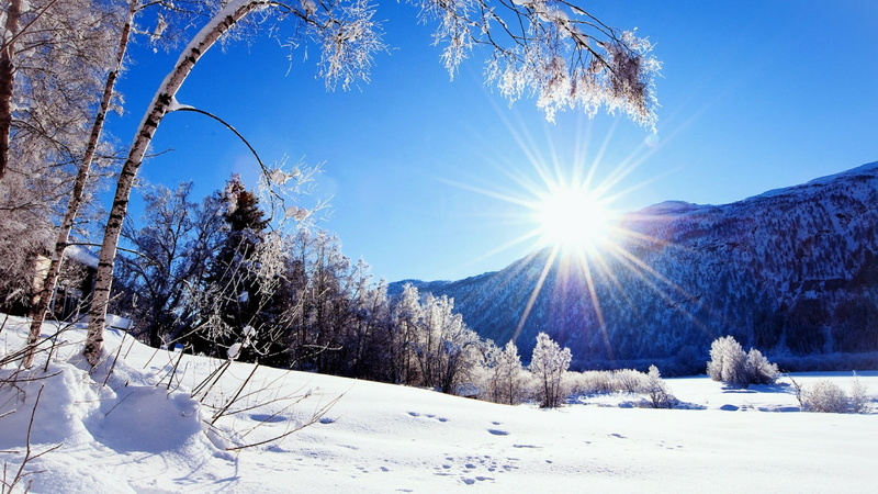 plant, no people, sun, coniferous tree, 1080P, snow, winter wonderland, hoarfrost, powder snow, tranquility, outdoors, winter, snowcapped mountain, sunshine