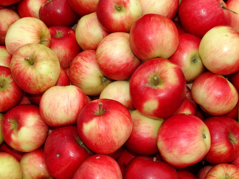 no people, large group of objects, apple bunch, food and drink, 2K, harvest, close-up, retail, still life, for sale, fruit, abundance, apple - fruit, pile
