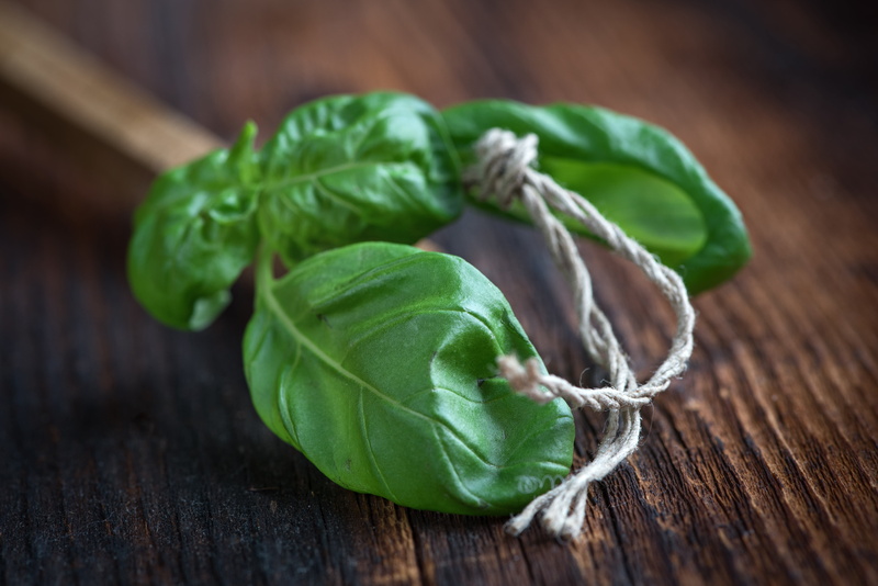 aroma, wood - material, table, leaf, green, basil, antioxidant, selective, leafed, wellbeing, healthy, nature, studio shot, food and drink, vegan, organic