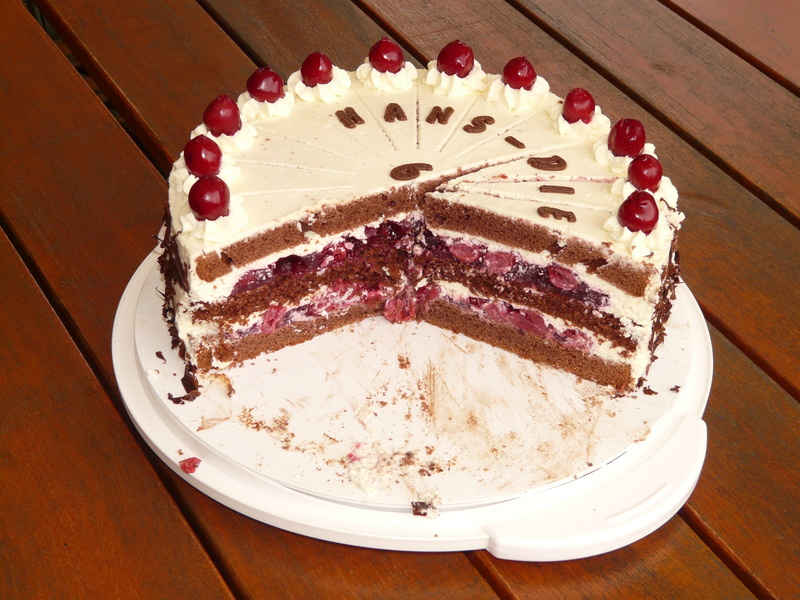 no people, gate, food, fruit, flavored kirschfüllung, high angle view, still life, forest, plate, slice of cake, layer, baked, sweet, chocolate chips, black forest cake