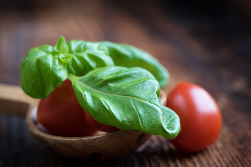 vegetable, nature, eat, plant, food-photography, vegetarian, wood - material, vegan, 5K, tomatoes, leaves, herbs, green, organic, frisch, green color