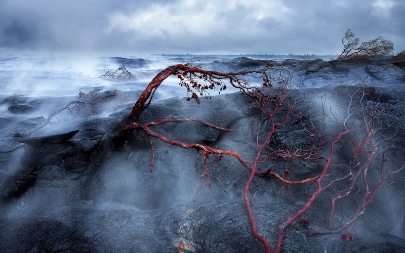 non-urban scene, outdoors, black, power in nature, steam, trees, lava, clouds, winter, no people, landscape, power, land, camouflage, cold temperature