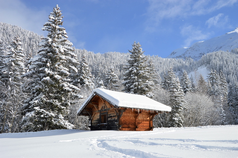 white, ice, trees, snowcapped mountain, cold temperature, chalet, landscape, sunny, land, building, scenics - nature, tree, beauty in nature, environment