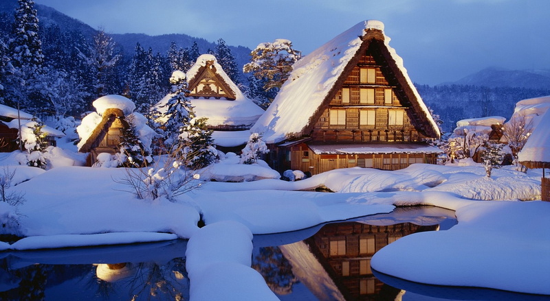 houses, fir tree, house, Seasons, white, dusk, christmas tree, wooden, celebration, decoration, building, tree, no people, christmas, chalet, snow, beauty in nature