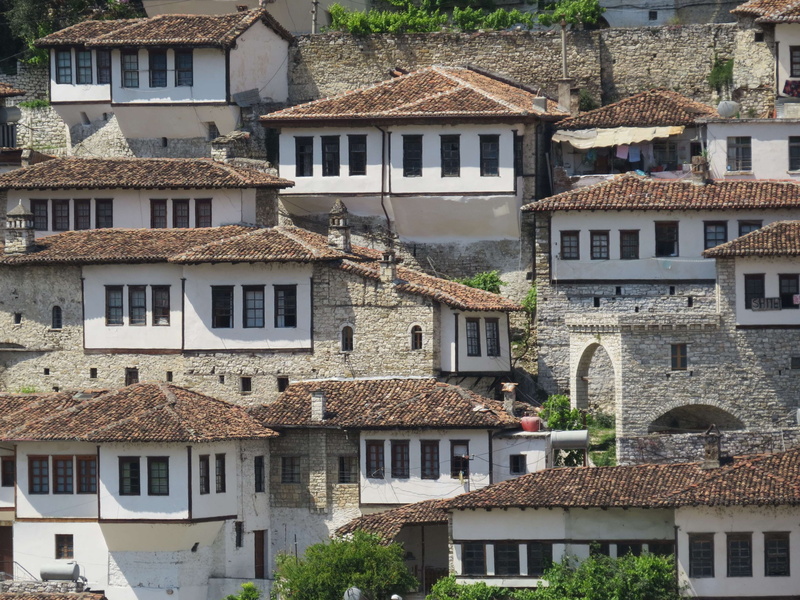 traditional, apartment, old, landmark, building, outdoors, window, house, plant, berat, albania, architecture, no people, roof, nature, historic, high angle view