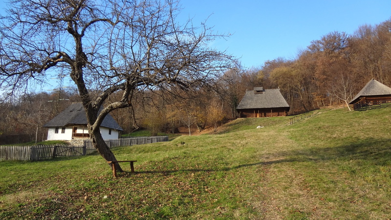 peasant house, culture, traditional, sky, tree, field, house, architecture, bare tree, ancient, tradition, residential district, vintage, museum, country