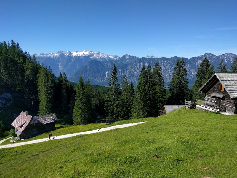 nature, scenics, Meadow, mountain, alpine hut, forest, house, summer, european Alps, land, meadow, scenics - nature, snowcapped mountain, mountain Range